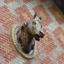 horse head photoshop contest